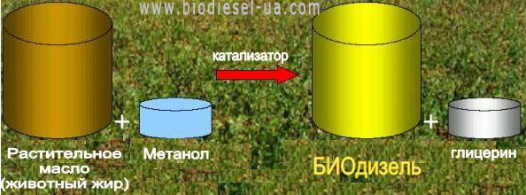 Как получить биодизель своими руками в домашних условиях - sauna-chelyabinsk.ru